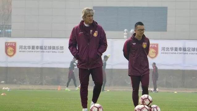 小骚菊