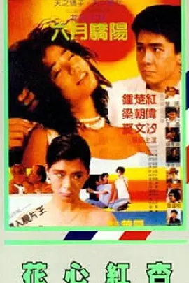 男女吃奶视频