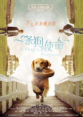 青青色在线视频