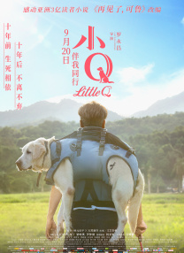 妻子的危险诱惑