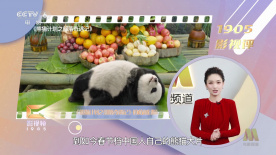 伊人久久大杳蕉综合大象